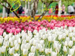 -长春公园(普阳街道)