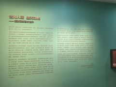 -南京书画院金陵美术馆