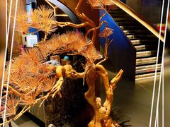 -百富源·海鲜辽菜(和平北大街店)