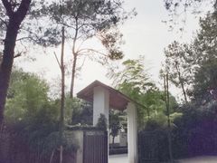 -铁山坪森林公园