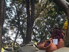 -湖泉半山温泉(湖泉生态园)