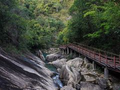 -广州白江湖森林公园
