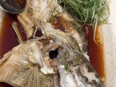 清蒸桂鱼-沪碟·精菜坊(闵行店)