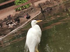 -海南热带野生动植物园