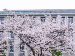 -武汉大学-樱园