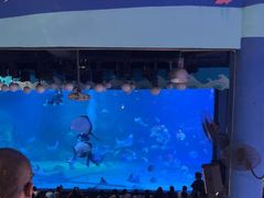 -烟台海昌鲸鲨海洋公园