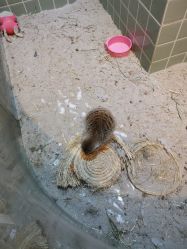 -Moni星球萌宠·小马宝莉·灵蛇·高端高阶全萌宠互动体验俱乐部(红豆国际广场店)