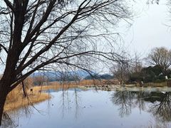 -云龙湖旅游景区