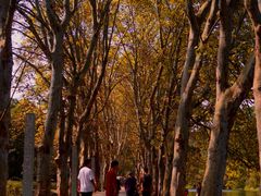 -贵阳市花溪国家城市湿地公园