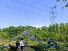 -桤木河湿地公园