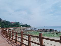 -养马岛旅游度假区