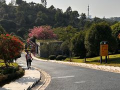 -东莞植物园