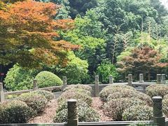 -阿巧茶庄