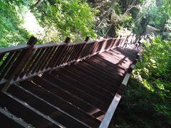 -天女山森林公园