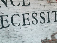 -白天鹅家宴·东北菜