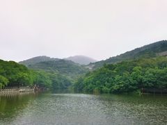 -白马涧龙池景区