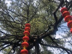 -红螺寺
