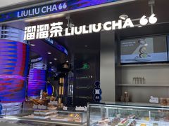 -TD66高山铁皮石斛养生茶饮