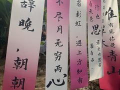 -呀路古热带植物园