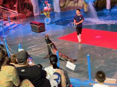 -烟台海昌鲸鲨海洋公园