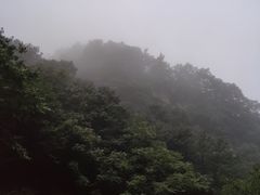 -终南山国家森林公园