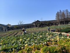 -乌村
