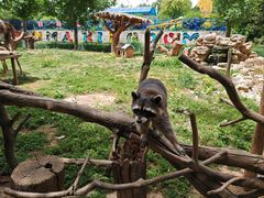 -辛玛王国游乐园