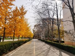 -防灾科技学院(南校区)