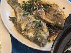 -老淳安—伴山伴湖(千岛湖开元度假村店)