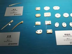 -青岛贝壳博物馆
