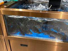 水产区-七鲜超市(瑞虹天地太阳宫店)