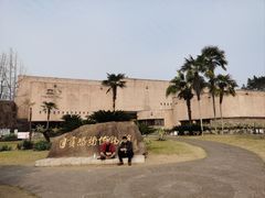 -自贡恐龙博物馆