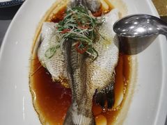 -东方御宴海鲜酒楼(棕泉酒店)