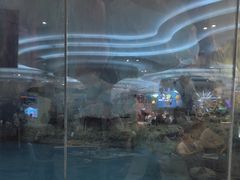 -帝企鹅自助餐厅•儿童岛•真企鹅(长隆企鹅酒店)