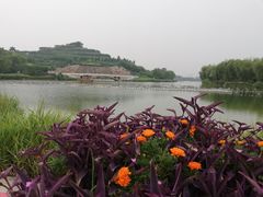 -河北省园博园
