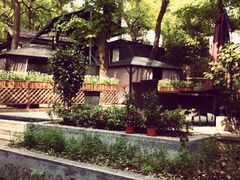 杭州西湖茶墅-西湖茶墅