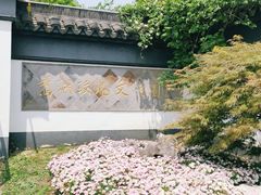 -鹅湖玫瑰文化园