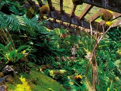 -深圳仙湖植物园