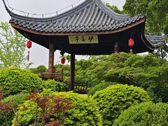 -江心屿景区