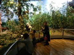 -陕西自然博物馆