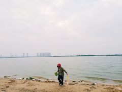 -瑶湖郊野森林公园