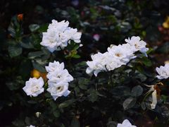 -神木二郎山风景区