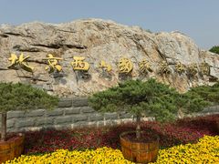 -北京西山国家森林公园