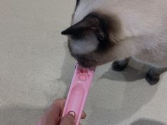 -藏猫猫咖啡主题馆(中央大道店)