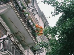 -徐家汇天主堂