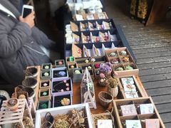 -久馆NineHouse
