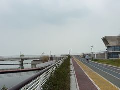 -贡湖湾湿地公园