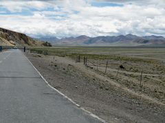 -松赞干布出生地