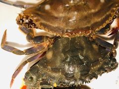 -V-ONE西雅图海鲜自助餐厅(仓山万达广场店)