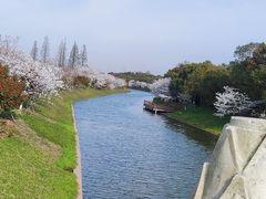 -上海海湾国家森林公园